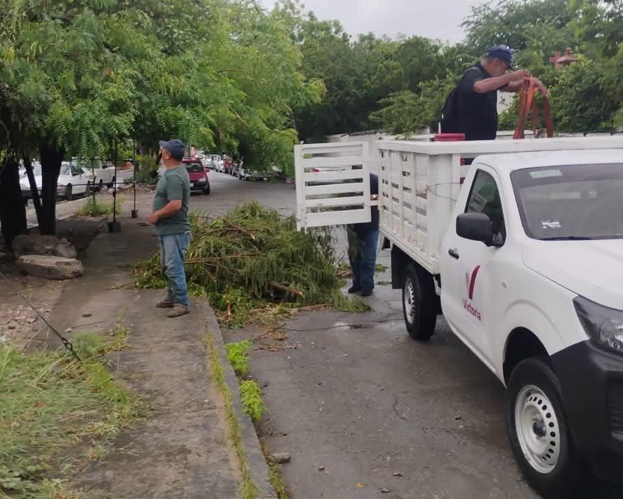 FB_IMG_1750350630518