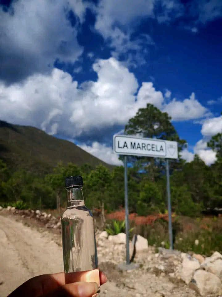 FB_IMG_1750947530843