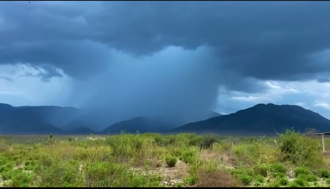 Screenshot_20250601_175930_Gallery