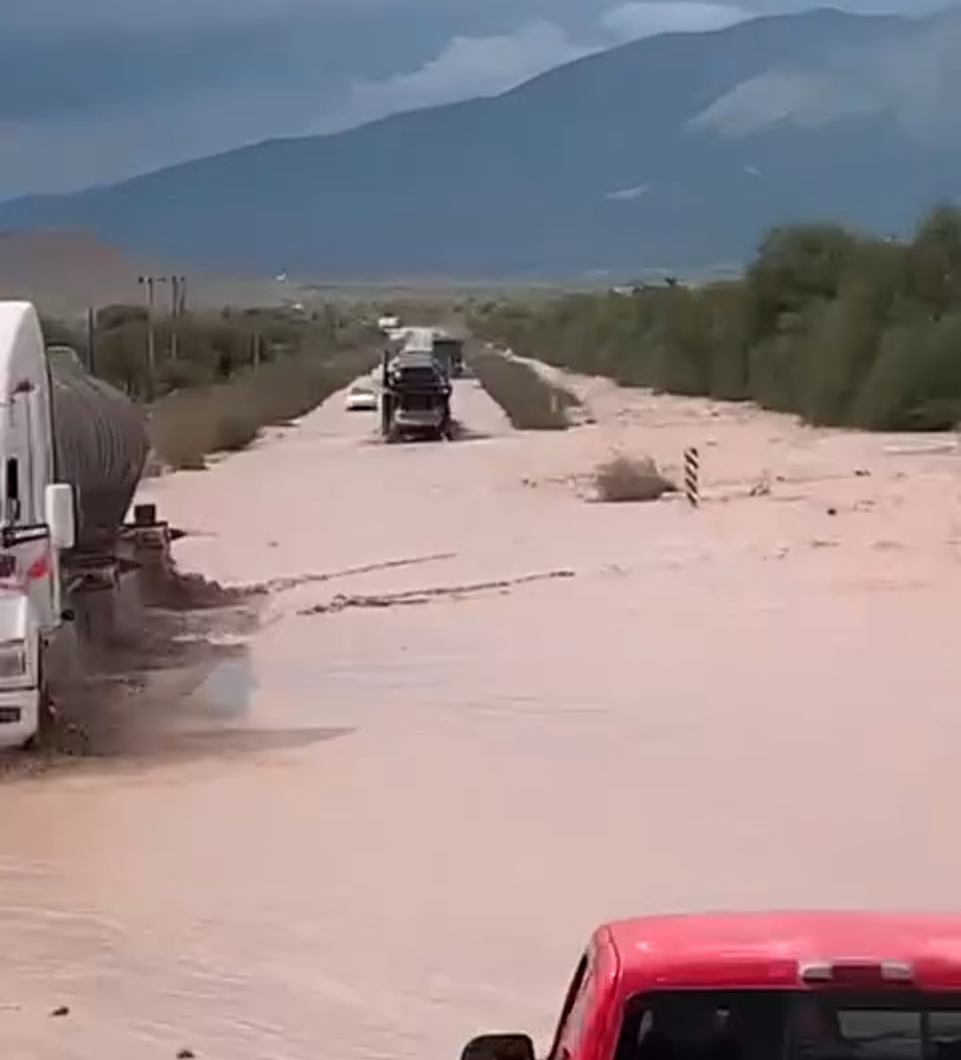 Screenshot_20250603_150621_Gallery