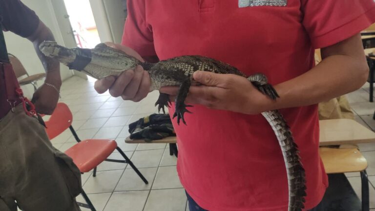 FB_IMG_1760123318619