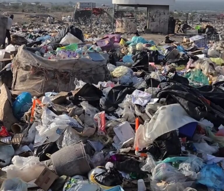 Screenshot_20260108_093358_Gallery