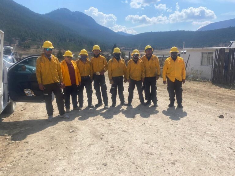 FB_IMG_1772892363285