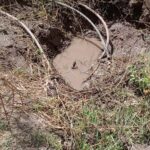 FB_IMG_1773492900137