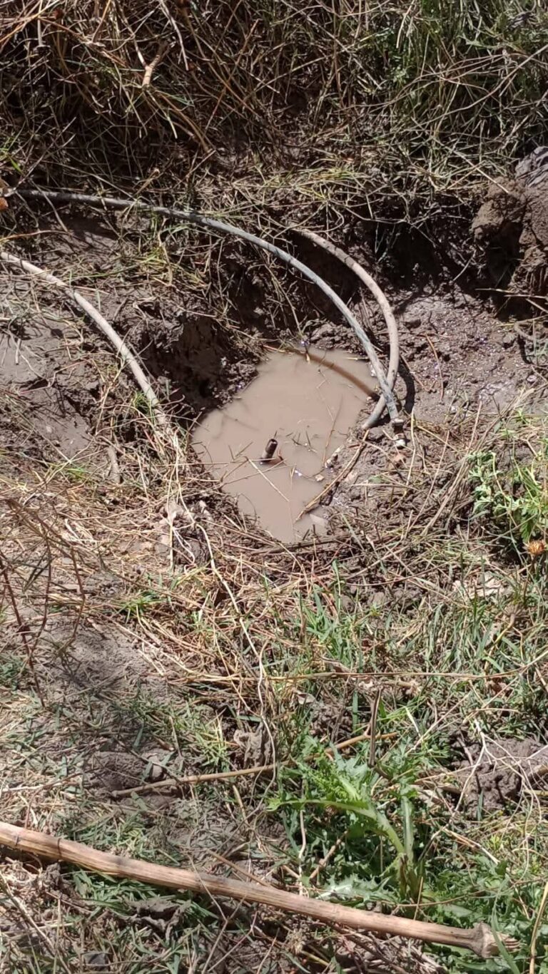 FB_IMG_1773492900137