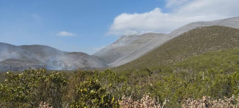 FB_IMG_1773765939641