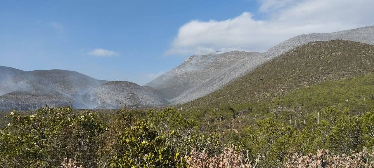 FB_IMG_1773765939641