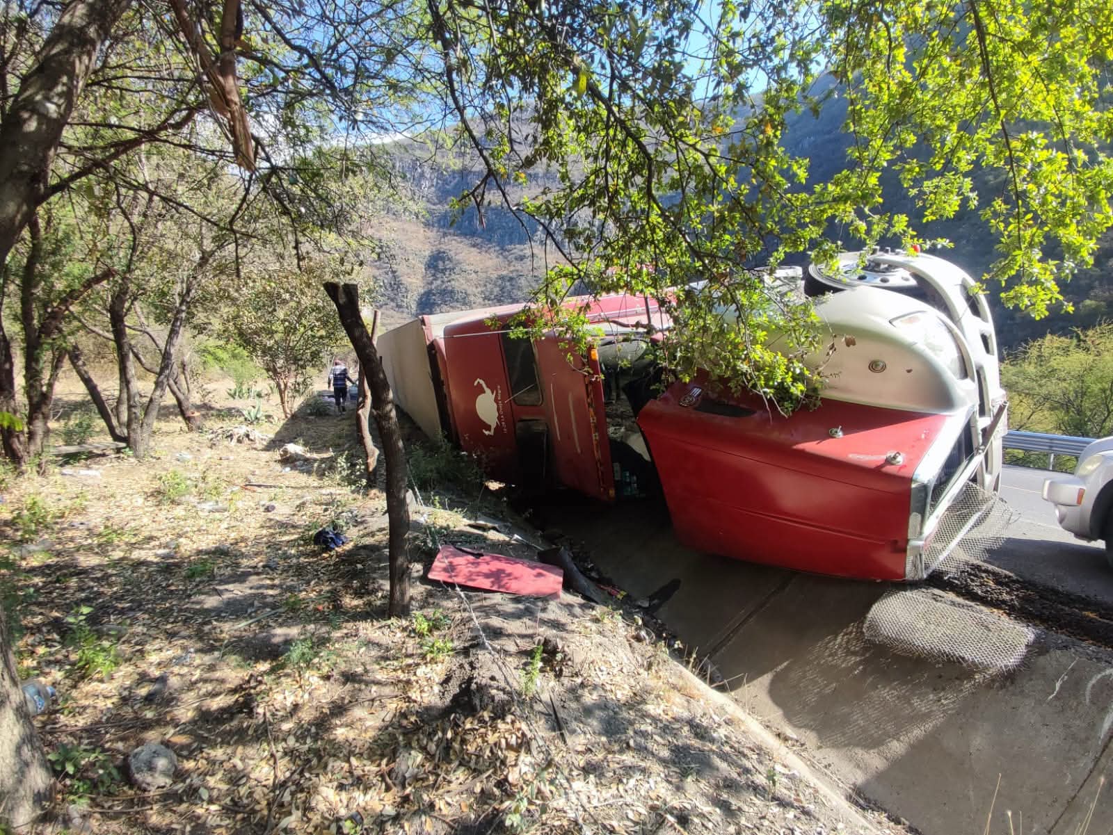 FB_IMG_1773941453527