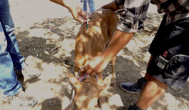 IMG-20260519-WA0008